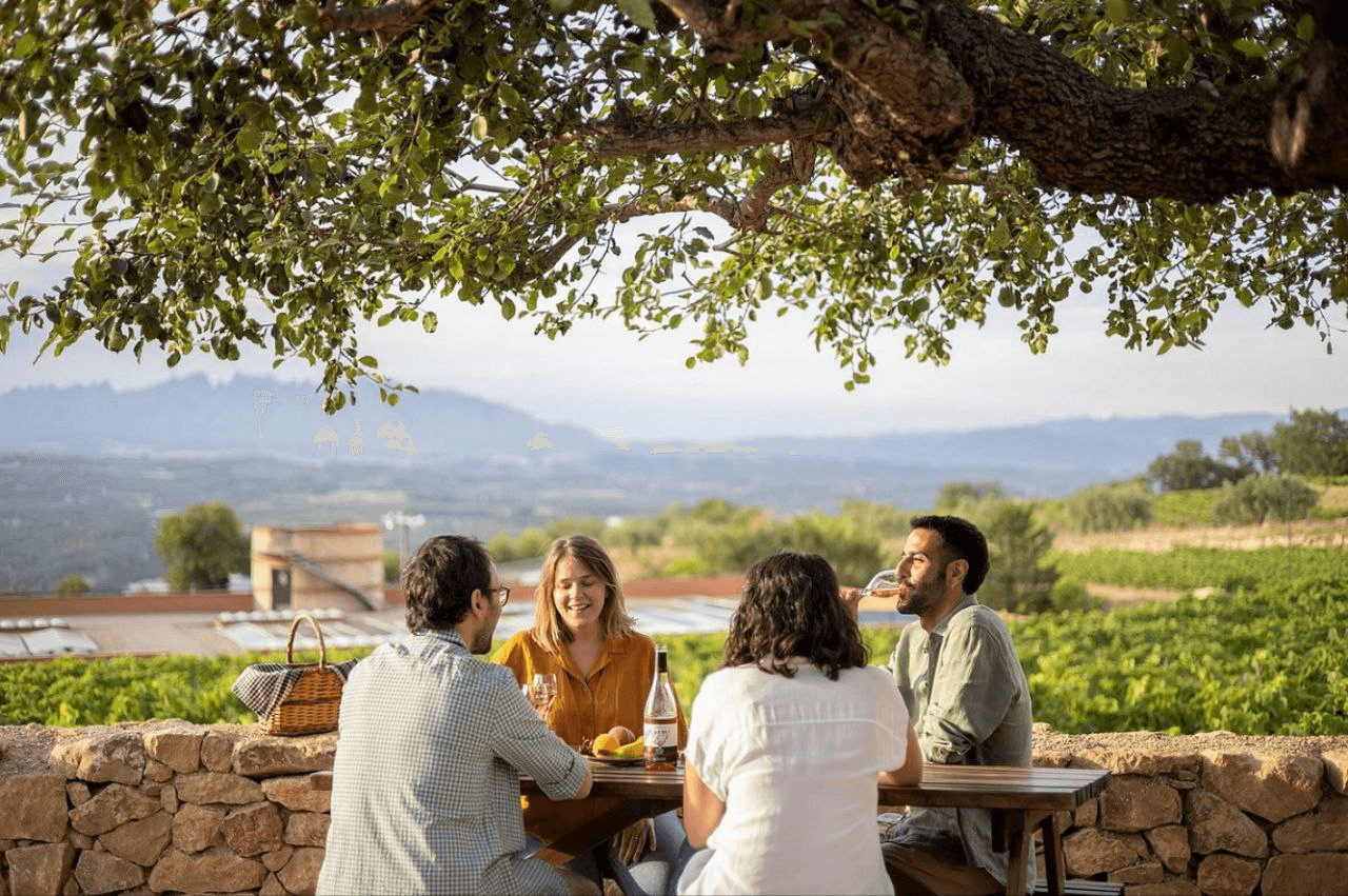 Private vineyard and wine tour in Catalonia with blinktransfers