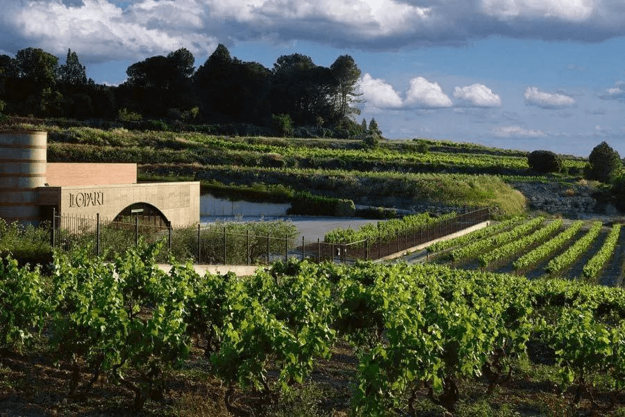 Private wine cellar tour with luxury chauffeur service by blinktransfers