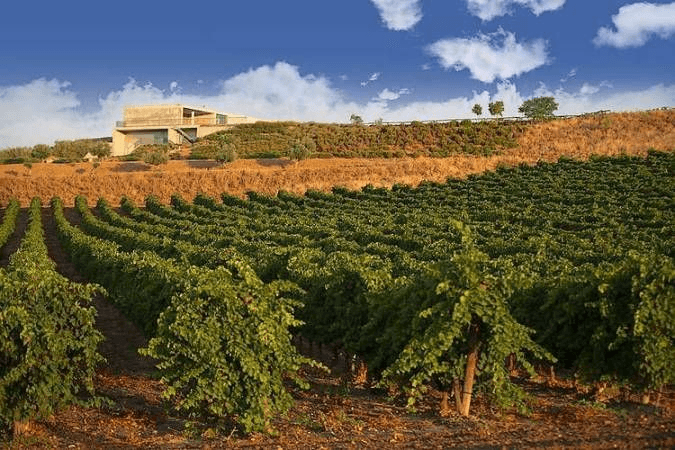 Private wine tasting tour in Catalonia with chauffeur service by blinktransfers