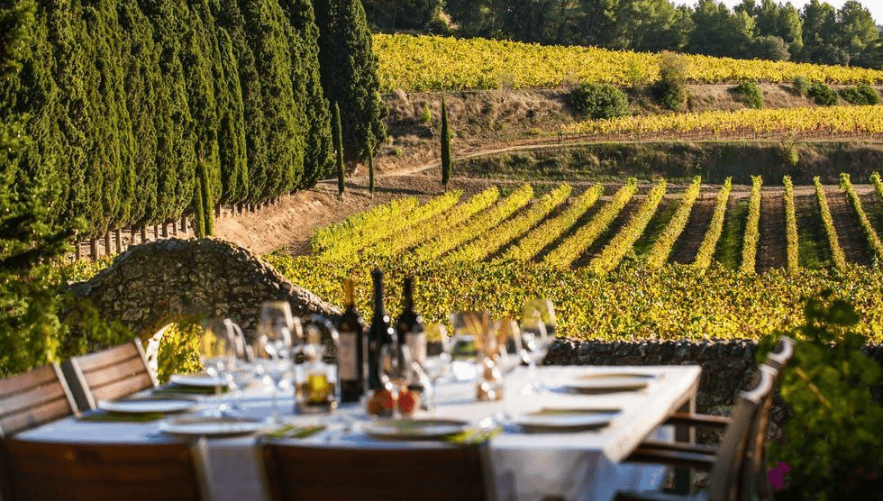 Private wine tour in Catalonia with luxury chauffeur service by blinktransfers